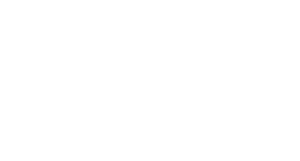 Lot Vision Logo
